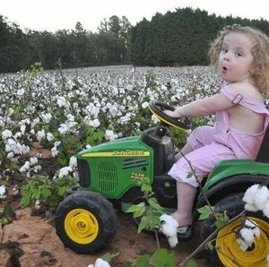 Meet your Posher, Nancy